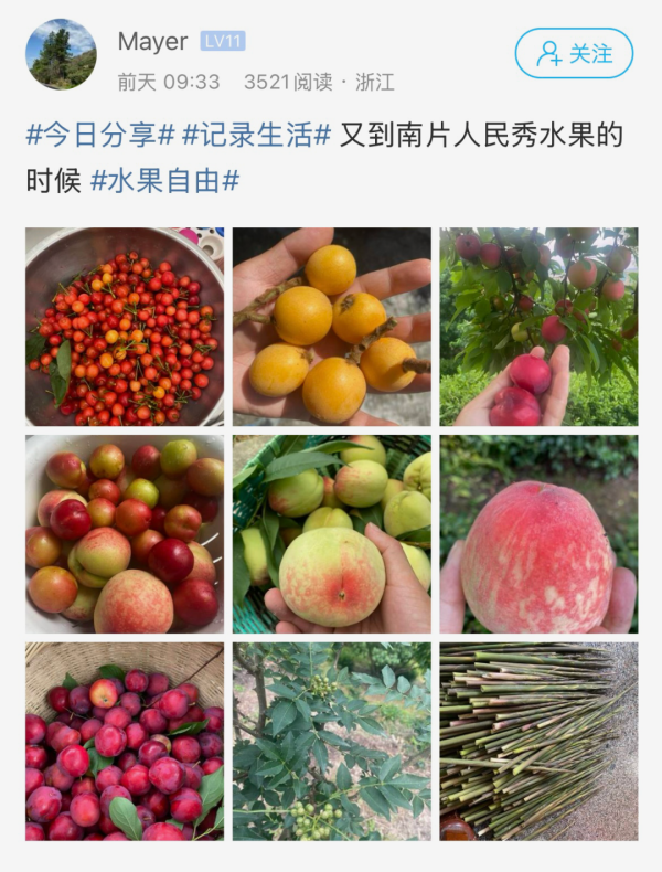 博宝配资 这些水果最近接连成熟！萧山南片很多人家忙不过来了