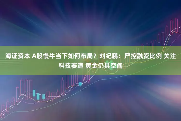 海证资本 A股慢牛当下如何布局？刘纪鹏：严控融资比例 关注科技赛道 黄金仍具空间