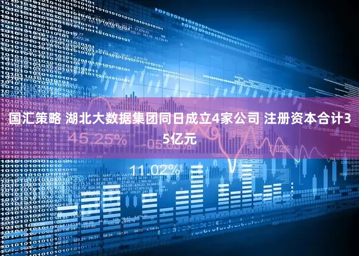 国汇策略 湖北大数据集团同日成立4家公司 注册资本合计35亿元
