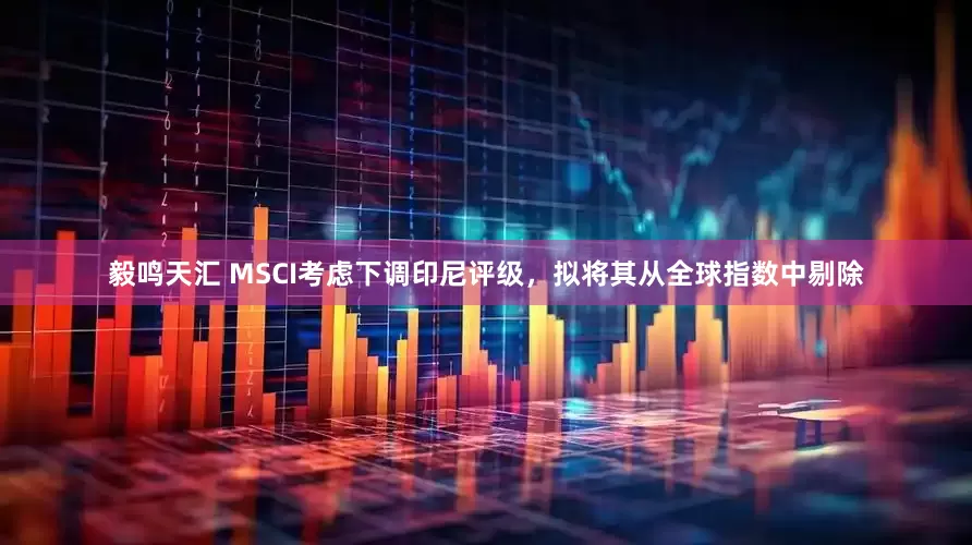 毅鸣天汇 MSCI考虑下调印尼评级，拟将其从全球指数中剔除